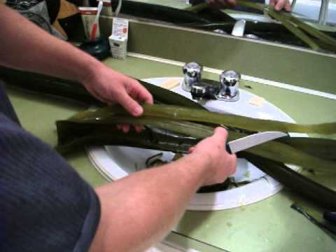 how to harvest your own sea salt