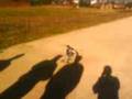 videos de Rc Ponte de lima