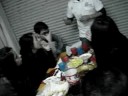 Los Pibes De Pablo 43 PIANISTA DE ?? jaja