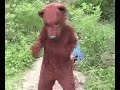 Bearfoot
