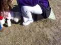 Caniche video