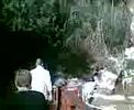 fuentes de algar piscolabis