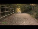 Vía Verde del Ferrocarril Minero