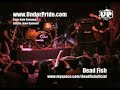 Dead Fish - Senhor Seu Troco (Hangar110 23/12/2007)