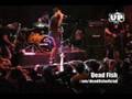 Dead Fish - Senhor Seu Troco (Hangar110 23/12/2007)