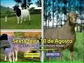 terra viva etanol  parte 2 de 5 