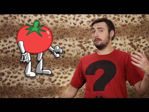 +100500 - Помидорный робот