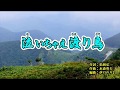 『泣いちゃえ渡り鳥』水雲- MIZMO- 　カバー　2019年7月17日発売