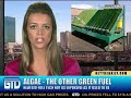 off-shore-drilling-vs-bio-fuels-debate.html
