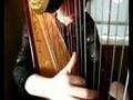 harpiste Regina Ederveen (harpist)