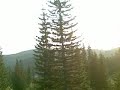 JAHORINA, BiH - Full FM Scan (Part 3) - 101-104,7 MHz