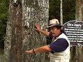 Danilo Rodriguez aka the Black Jaguar, tour guide and Mayan expert is seen here in action, at his best. Danilo takes us around Tikal, Guatemala and then, dives deeper into the meaning of life, the Mayan calendar and the December 21, 2012 end of the Maya calendar cycle or end of the 25800 year large cycle. He talks about a chapter he helped write in a book by a Mr. Roskind whom is organizing a concert and wrote the book 2012 the transformation from the love of power to the power of love ...