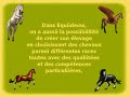 Equitation