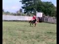 21112008(001).mp4