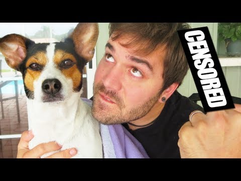 CUTE THUNDER BUDDY!! (5.1.13 - Day 1462)