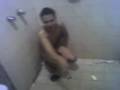 videos de Pollito Bichicori