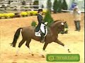 Dream Horses