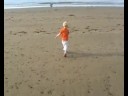 New Quay - Quay West - Wales