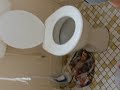 THE TOILET THE TOILET