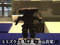 clay figurine:dogu
