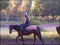 Entraînement équitation de courses Maisons-Laffitte Entraînement équitation de courses Maisons-Laffitte