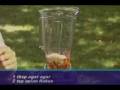 videos de Hallelujah Acres Almond Mayonnaise