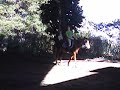 montando a katire 1 montando a katire 1