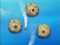 beyblade g revolution episode 35 part 2  japanese 