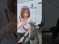 猫島行ってきたよ！