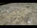 videos de Stoupa Chorten Bouddhisme Tourner Prière Tibet Projestes