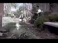  - MovieZen Video