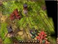 The Settlers II 10th Anniversary Vikings - Game Play