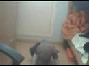 Coup� d&cal� et hip hop ??