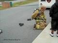 MFD gear timing