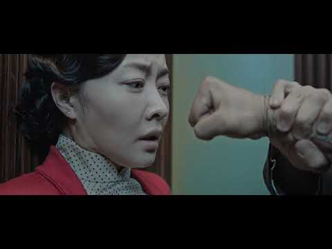IP Man fighting in the elevator