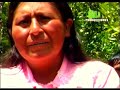 OLIVO PRODUCCIONES - florentina tapia OLIVO PRODUCCIONES - florentina tapia