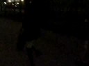 Halloween at Blekerslaan - Walk into Groningen part 2