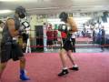 Boxing Prospects Rashad Holloway and Alfredo Angulo sparring Boxing Prospects Rashad Holloway and Alfredo Angulo sparring