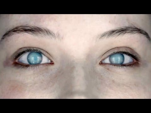 'The Autopsy of Jane Doe' Official Trailer (2016) | Brian Cox, Emile Hirsch