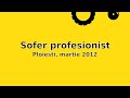 Sofer profesionist
