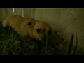 FilmShort07: Canon xl2 test