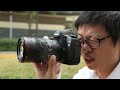 Battle of L vs non-L lens: Canon 100mm f/2.8 Macro 