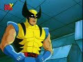 Wolverine VS Sabretooth amv