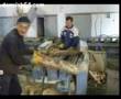 Taşer Palet Fabrikası