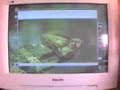 LINUX SUSE 10 Presentation Menu Konqueror