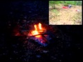 Rogue Sheeples Sixth Video.