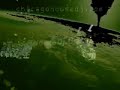 Chicago House Music Video 2