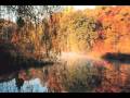 Yamaha D85 - Theme From A Summer Place