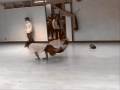 bboy Sfurios  training 2008 ( DeLiRiUm CrEw )