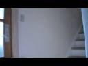 Endelige film